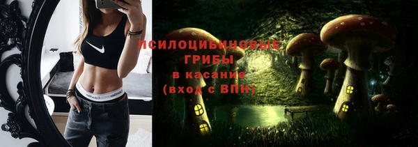 мяу мяу мука Беломорск