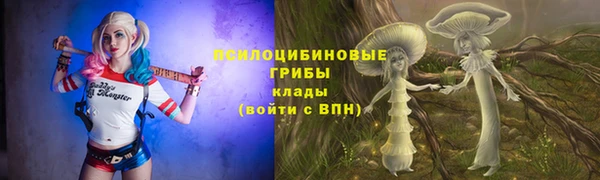 мяу мяу мука Беломорск