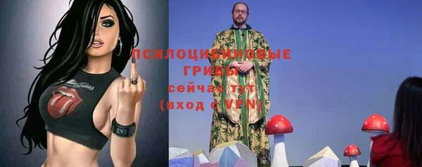 МДПВ Балахна