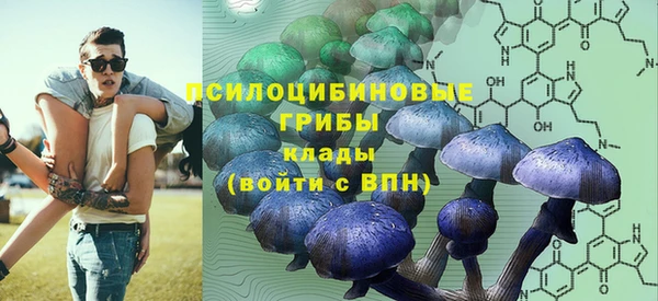мяу мяу мука Беломорск