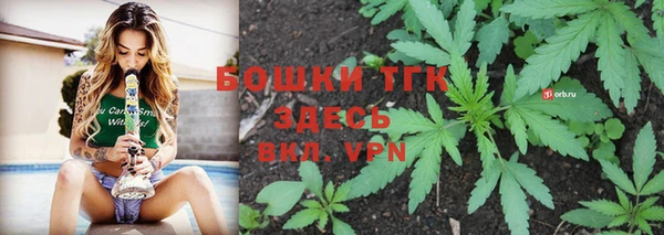 мяу мяу мука Беломорск