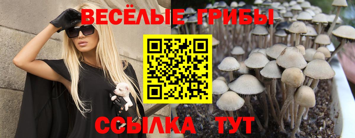 Дагестанские Огни  Псилоцибиновые грибы MAGIC MUSHROOMS  Вход с VPN  Галлюциногенные грибы Cubensis 
