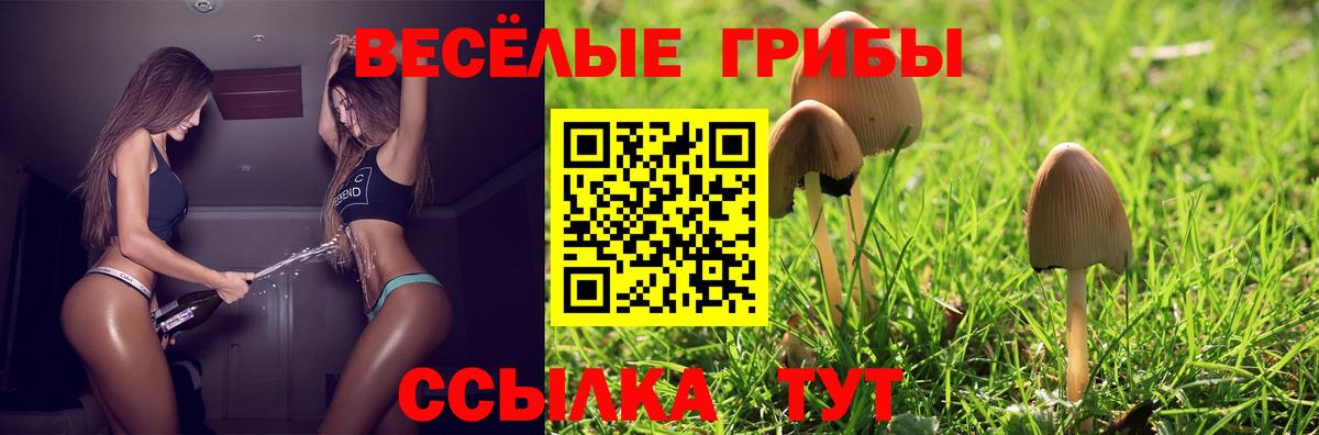 Псилоцибиновые грибы мухоморы Дагестанские Огни