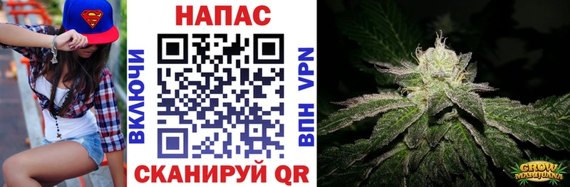 МАРИХУАНА гибрид  Дагестанские Огни 